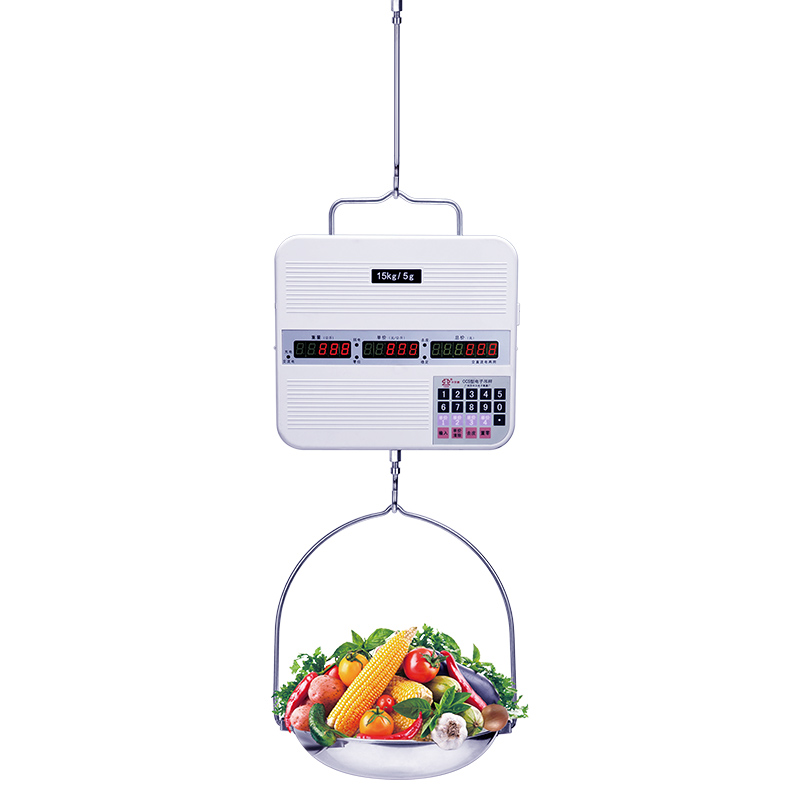 B Hanging Scale